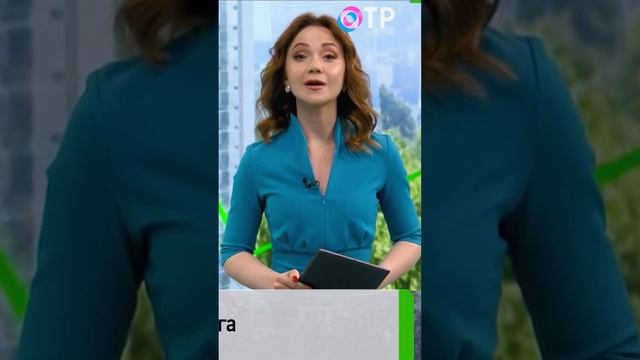 🗓 КАЛЕНДАРЬ | День мозга #history #история смотреть онлайн