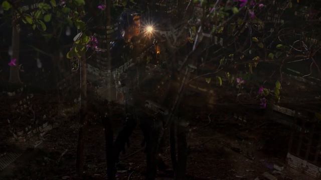 ✨ÆSTRAL — Forgiven _ (dswl video) смотреть онлайн