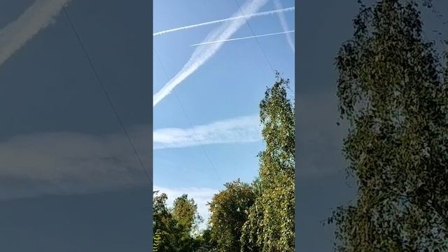 09.09.2024 год. Понедельник.
Москва. От души сегодня распыляют химикаты в небе.🥺 смотреть онлайн