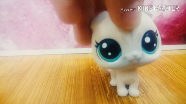 ЧТО Я БУДУ ДЕЛАТЬ НА ОСЕННИХ КАНИКУЛАХ? СПАТЬ.... смотреть онлайн
