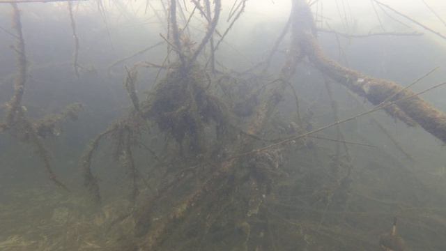 Рибалка на мормишку(відео під водою ) смотреть онлайн