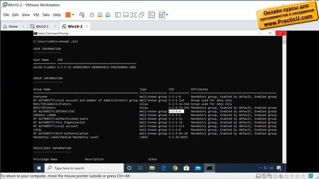 Общие папки - C:\Users\Public