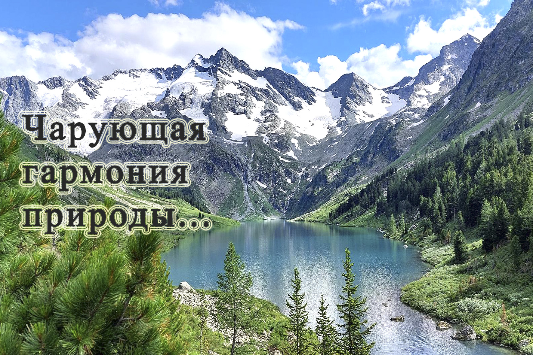 Чарующая гармония природы... смотреть онлайн
