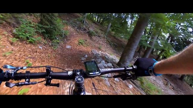 Bold Linkin Trail LT29 Test/Review смотреть онлайн