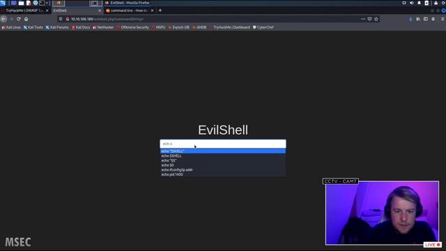 Highlight: THM: OWASP Top 10 - [Severity 1] Injection смотреть онлайн