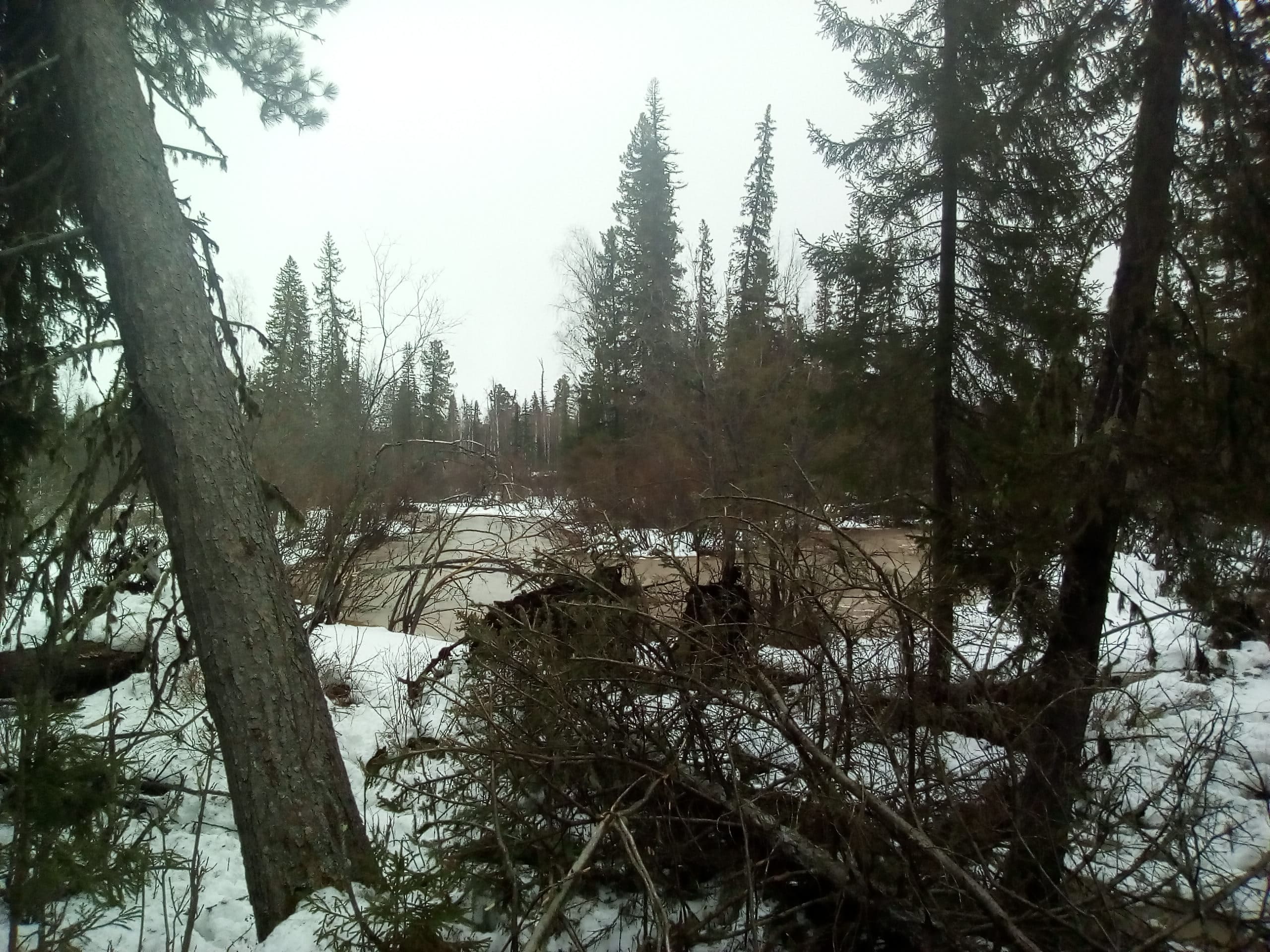 Зеленое море тайги - Нягань 2019 (Уфа-Нягань-Уфа) смотреть онлайн