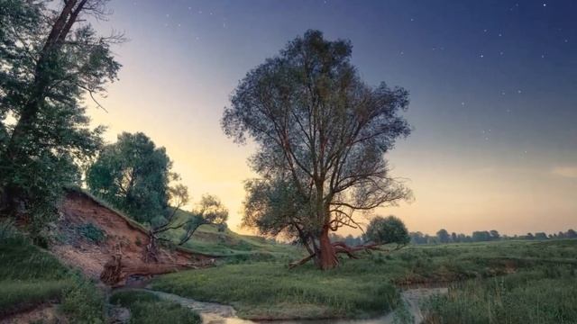 ТАНЦЫ ВО ВРЕМЕНИ... (Фото Дм. Медянцева (Кирово-Чепецк), музыка Конст. Гольцова (Pulsar)) смотреть онлайн