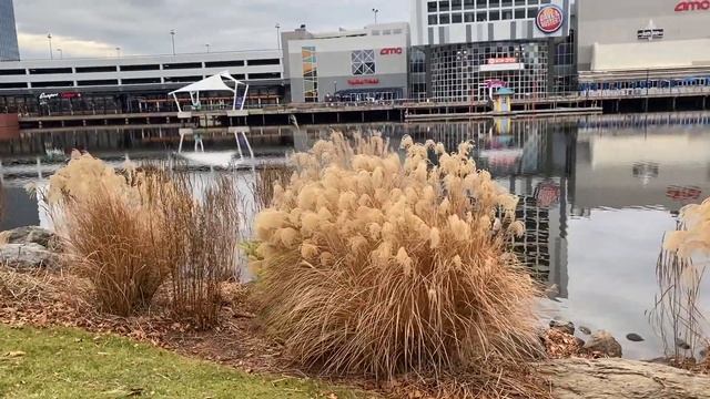 Ձմեռային  Ռիո Մերիլենդ ԱՄՆ, Winter RIO Gaithersburg, MD USA , Рио Мэриленд