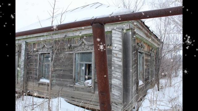 Грибная погоня