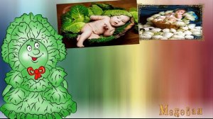 малыши в капусте