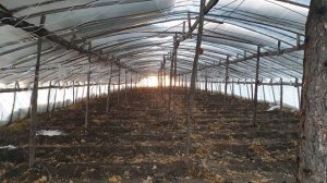 квадр омск китайские теплицы...