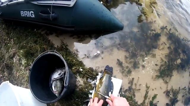 Квх два выходных подводная охота смотреть онлайн