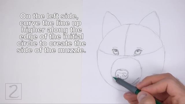 How to Draw a Wolf (Head Detail) смотреть онлайн