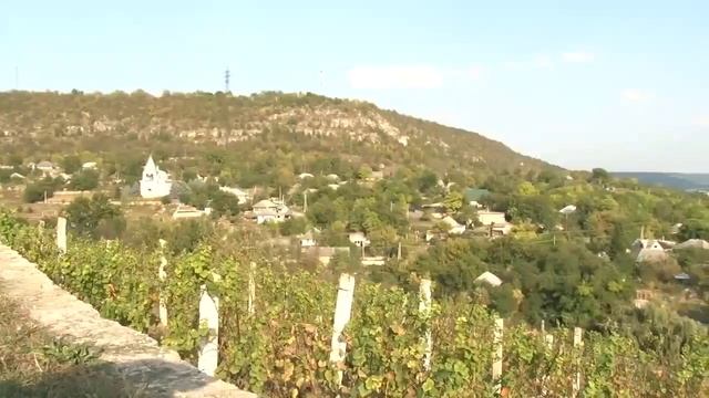 Строенцы - истина в вине!!! смотреть онлайн