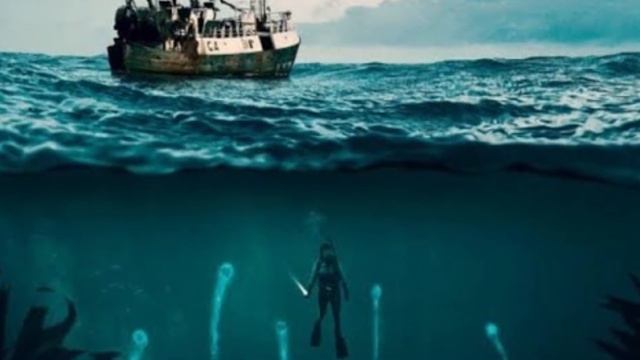 Top 5 Aquatic Horror Movie Monsters смотреть онлайн