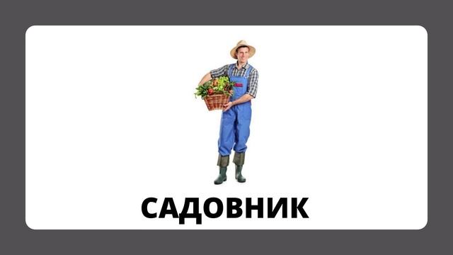 Профессии.mp4 смотреть онлайн