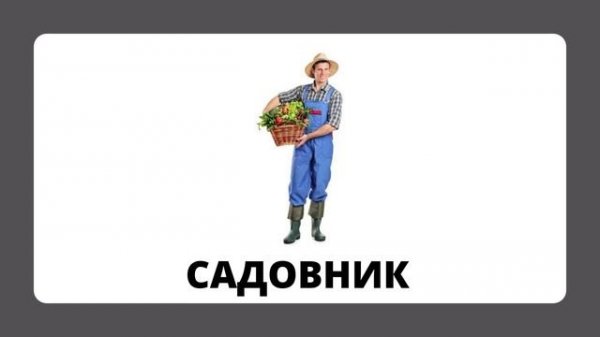 Профессии.mp4