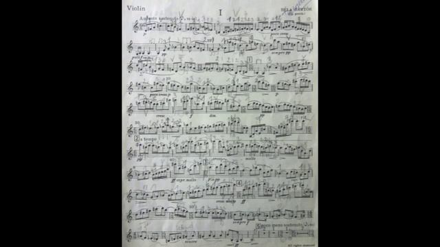 Béla Bartók:Violin Concerto Nr.1 Part 1 Eszter Haffner Live