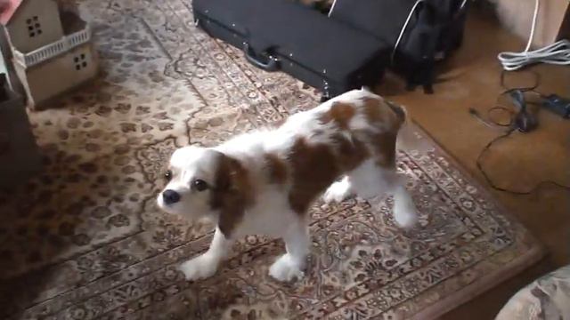 violin practice смотреть онлайн