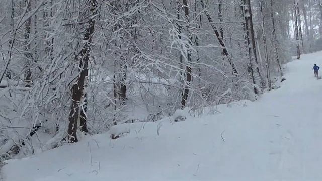 ВЛОГ: ПОКАТУШКИ НА СНЕГОКАТЕ!!! смотреть онлайн