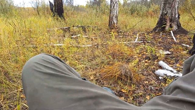 Охота продолжается Охотничьи собаки