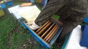 ВЫВОД МАТОК от А до Я, ДЕЛАЕМ СЕМЬЮ ВОСПИТАТЕЛЬНИЦУ, ПОДРОБНО ОЧЕНЬ