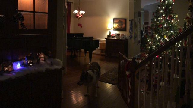 Hamill House Christmas Past смотреть онлайн