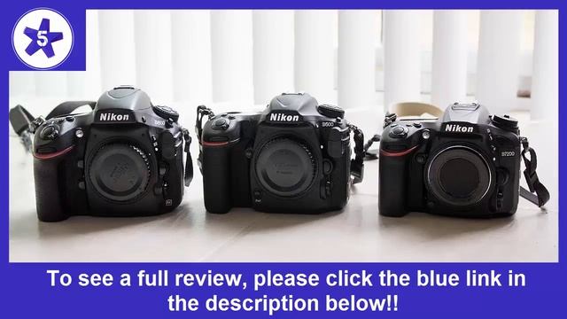 Nikon D500 DX-Format Digital SLR With 16-80mm ED VR Lens Review