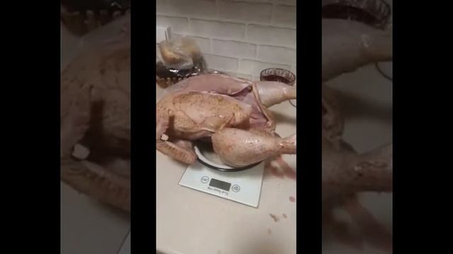 Бройлеры РОСС 308. Подводим итоги смотреть онлайн