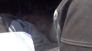 Подключаем ЭСП на волге.