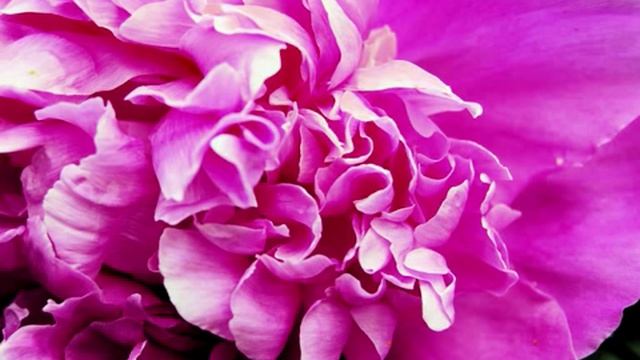 Nikon D40 photos смотреть онлайн