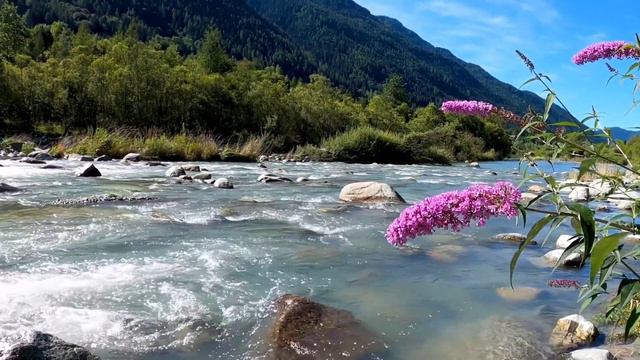 "Spring Lullaby" - Piano - Relax and let this soothing piano melody bring peace and joy to your day смотреть онлайн