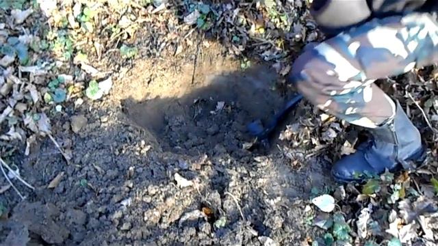 Копаємо та святкуємо) смотреть онлайн