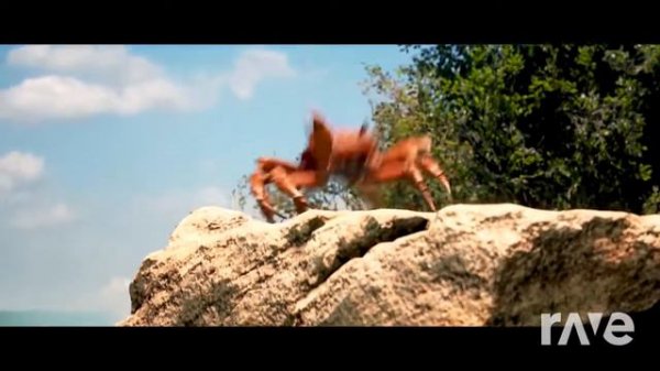 When the Crabs are Sus (Among us Drip theme X Crab Rave)