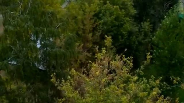 В Отрадном 23.09.2014 смотреть онлайн
