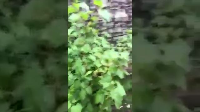 Отзыв от нашего клиента смотреть онлайн