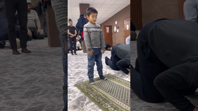 Витр важиб намаз совершаемый после ночной молитвы #мечетьраменское #коран #дети смотреть онлайн