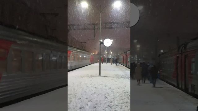 Санкт-Петербург 12 декабря 2022 г. смотреть онлайн