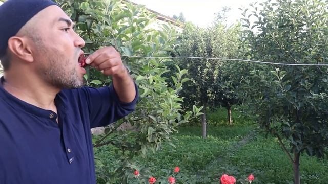 долма ассорти В КАЗАНЕ НА КОСТРЕ смотреть онлайн