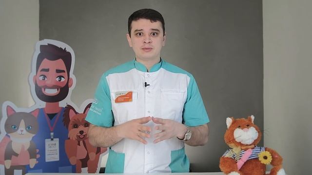 МУТАЦИИ У ЖИВОТНЫХ, НЕДОБРОСОВЕСТНЫЕ ЗАВОДЧИКИ. КАК ВЗЯТЬ ЗДОРОВОГО ПИТОМЦА? смотреть онлайн