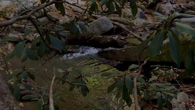 Перед сном слушай места из Библии об исцелении  | Легкая фоновая музыка | Горный ручей | Relaxing