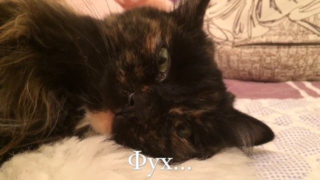 ТИПЫ КОШМАРОВ ДЛЯ ТИПОВ ЛЮДЕЙ (и котёнка) смотреть онлайн