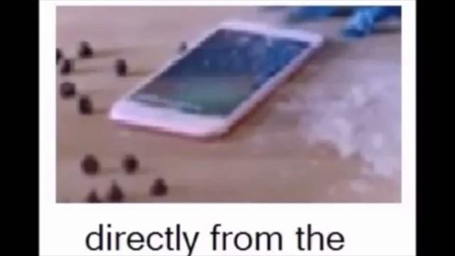 Maureen Lewis Cookie Monster Iphone "Parody" + sound смотреть онлайн