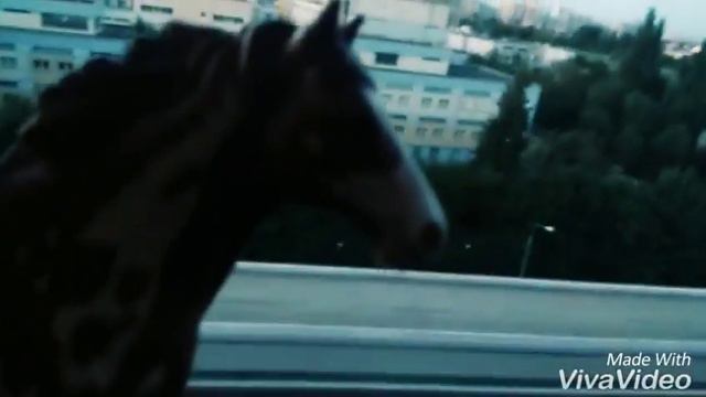 КониКлип от Луны до Марса смотреть онлайн
