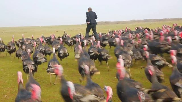 AYDIN AYDIN  * SÖYLE HİNDİ *