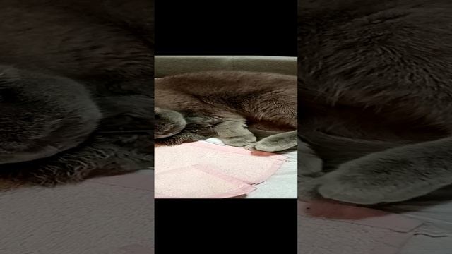VID_20221111_161928.mp4 смотреть онлайн