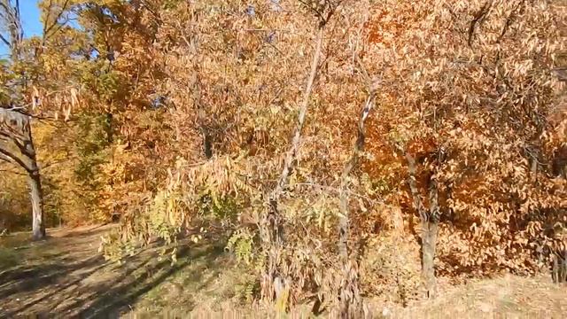 18.10.2018. Велопокатушки вдоль Северского Донца. Украина/Україна. Харківська обл. смотреть онлайн