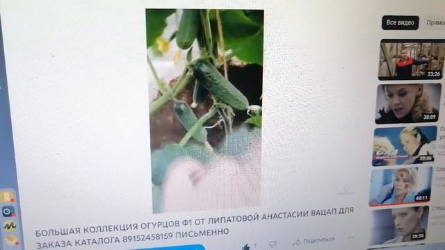 Как Я Выращиваю Огурцы Тачками Без Химозы //ВАЦАП ДЛЯ ЗАКАЗА КАТАЛОГА 89152458159 ПИСЬМЕННО смотреть онлайн