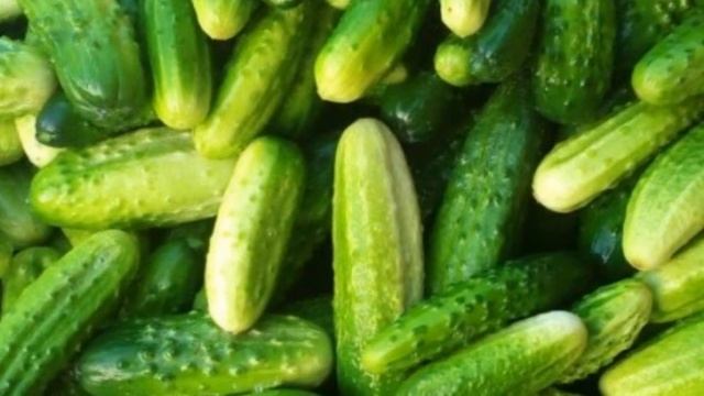 Пищевая сода для огурцов от пожелтения смотреть онлайн