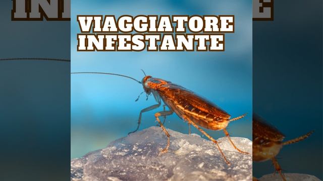 Ospite Inatteso смотреть онлайн